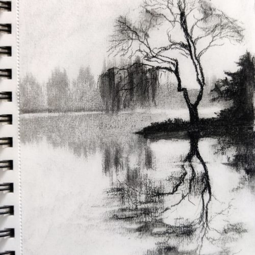 Reflection; 5X8 inches Charcoal on paper without frame
