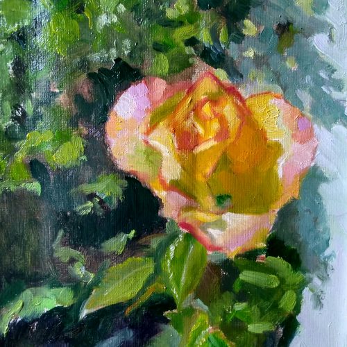 Yellow Rose; 24X26 inches; Oil; Unframed